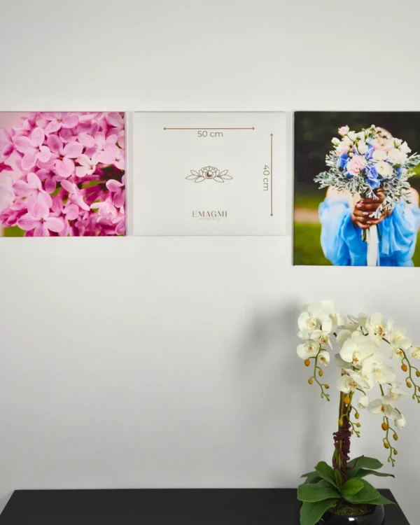 Fotoobraz na płótnie 50 × 40 cm – widok frontowy w aranżacji na ścianie