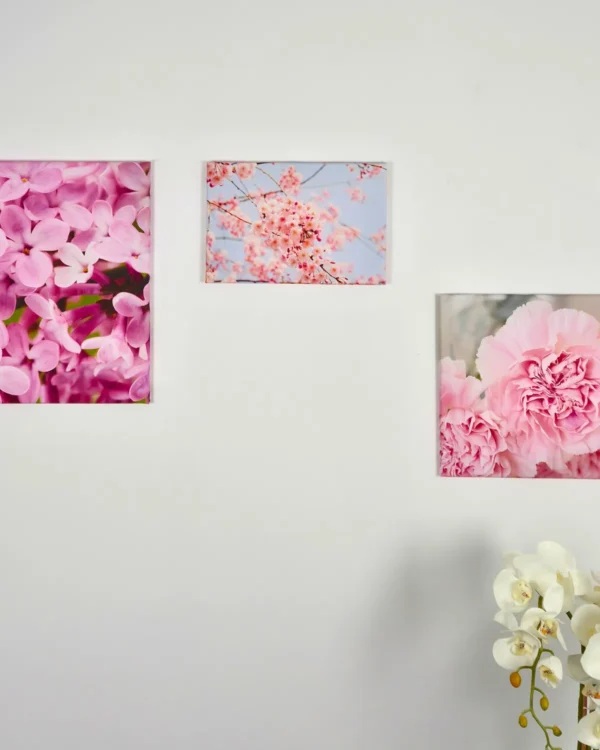 Trzy fotoobrazy na płótnie z kwiatami w aranżacji na ścianie we wnętrzu